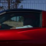 Laughlin_0052 (April 20, 2013)